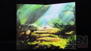 The Legend of Zelda Breath of the wild Collector Edition Jap jaquette images (7)